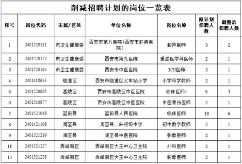 志丹县级托养福利事业单位最新发展规划，志丹县级托养福利事业单位发展规划展望