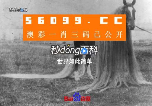 一肖一码一必中一肖,前沿解析评估_尊贵版99.381