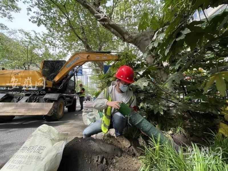 芜湖路街道最新新闻全面解析，芜湖路街道最新新闻全面解读