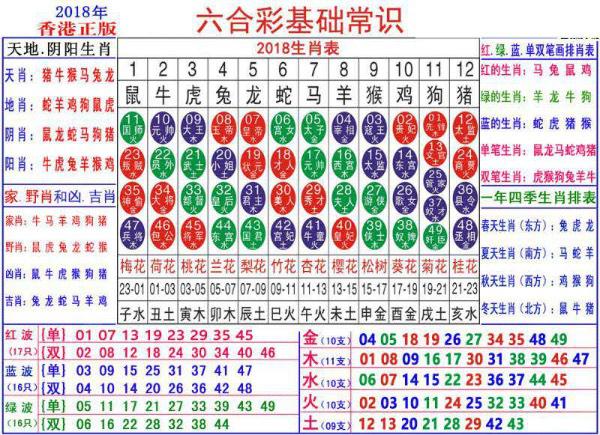 2024新澳门正版免费资料生肖卡,绝对经典解释落实_高级款36.238