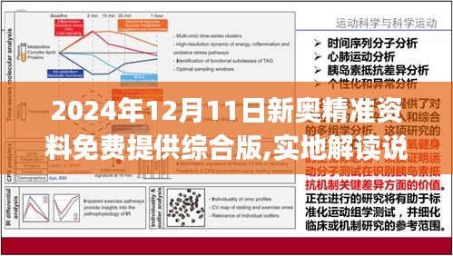 2024新奥正版资料最精准免费大全,经典分析说明_7DM86.135