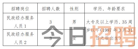 文昌市民政局最新招聘信息及相关解读，文昌市民政局最新招聘信息解读与应聘指南