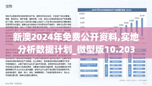 新澳2024正版资料免费公开,结构化评估推进_基础版48.450