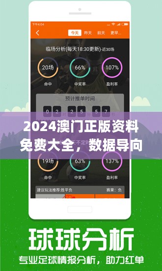 澳门4949开什么,数据驱动执行方案_专业版2.266