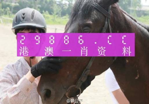 澳门必中一肖一码准一肖,最佳精选解释落实_模拟版9.232