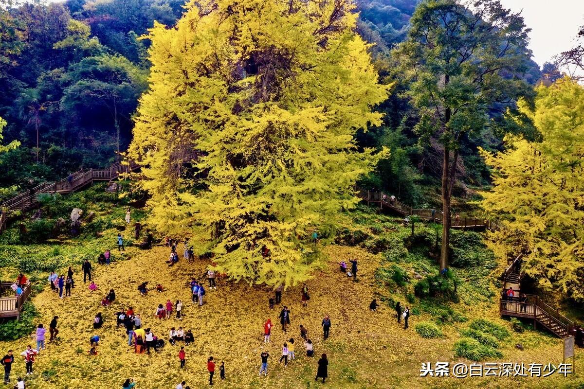 长顺县广顺最新新闻，聚焦发展动态，揭示地方魅力，长顺县广顺发展动态最新报道，聚焦发展，展现地方魅力